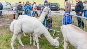 Fotorelacja z IV Redyku Mazurskiego, 04 października 2025 r. - zdjęcie 75
