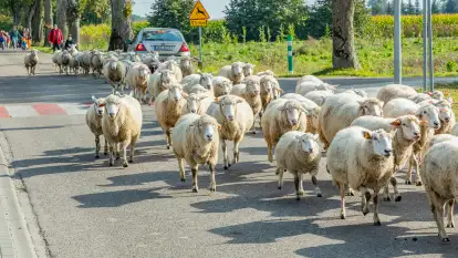 Fotorelacja z IV Redyku Mazurskiego, 04 października 2025 r.