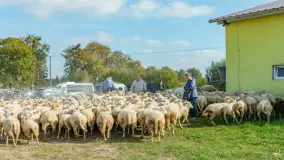 Fotorelacja z IV Redyku Mazurskiego, 04 października 2025 r. - zdjęcie 69