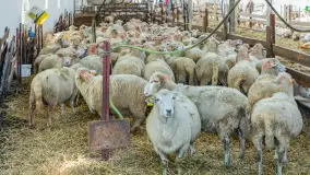 Fotorelacja z IV Redyku Mazurskiego, 04 października 2025 r. - zdjęcie 65