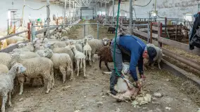 Fotorelacja z IV Redyku Mazurskiego, 04 października 2025 r. - zdjęcie 98