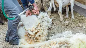 Fotorelacja z IV Redyku Mazurskiego, 04 października 2025 r. - zdjęcie 102