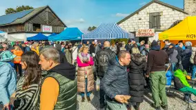 Fotorelacja z IV Redyku Mazurskiego, 04 października 2025 r. - zdjęcie 86