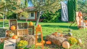 Dyniowy Port w Ogonkach, odkryj barwy jesieni na Mazurach - zdjęcie 10