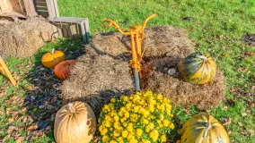 Dyniowy Port w Ogonkach, odkryj barwy jesieni na Mazurach - zdjęcie 18