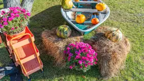 Dyniowy Port w Ogonkach, odkryj barwy jesieni na Mazurach - zdjęcie 22