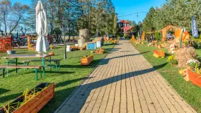 Dyniowy Port w Ogonkach, odkryj barwy jesieni na Mazurach - zdjęcie 27