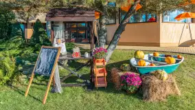 Dyniowy Port w Ogonkach, odkryj barwy jesieni na Mazurach - zdjęcie 38