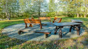 Jesienna wersja Ognistego Ptaka w Ogonkach, październik 2025 r. - zdjęcie 22