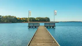 Jesienna wersja Ognistego Ptaka w Ogonkach, październik 2025 r. - zdjęcie 7