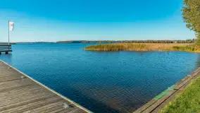 Jesienna wersja Ognistego Ptaka w Ogonkach, październik 2025 r. - zdjęcie 4