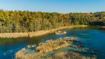 Jezioro Krutyńskie i Krutynia w jesiennej odsłonie, październik 2025 r.