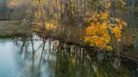 Jezioro Krutyńskie i Krutynia w jesiennej odsłonie, październik 2025 r. - zdjęcie 3