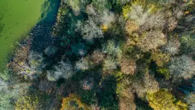 Jezioro Krutyńskie i Krutynia w jesiennej odsłonie, październik 2025 r. - zdjęcie 37