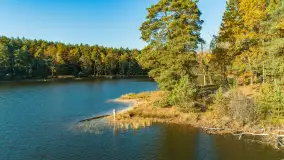 Jezioro Wesołek i puszcza Piska z drona, jesień 2025 r. - zdjęcie 29