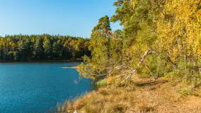 Jezioro Wesołek i puszcza Piska z drona, jesień 2025 r. - zdjęcie 22