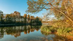 Jesień w Rezerwacie Przyrody Krutynia, październik 2025 r. - zdjęcie 40