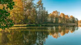 Jesień w Rezerwacie Przyrody Krutynia, październik 2025 r. - zdjęcie 45