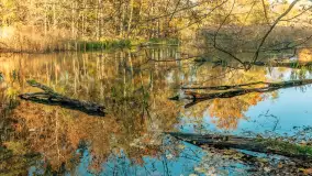 Jesień w Rezerwacie Przyrody Krutynia, październik 2025 r. - zdjęcie 36