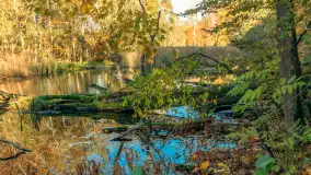 Jesień w Rezerwacie Przyrody Krutynia, październik 2025 r. - zdjęcie 50