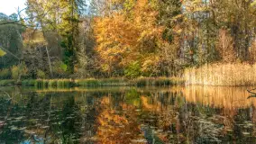 Jesień w Rezerwacie Przyrody Krutynia, październik 2025 r. - zdjęcie 62