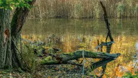 Jesień w Rezerwacie Przyrody Krutynia, październik 2025 r. - zdjęcie 71