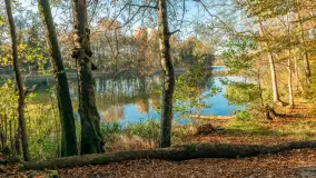 Jesień w Rezerwacie Przyrody Krutynia, październik 2025 r. - zdjęcie 52