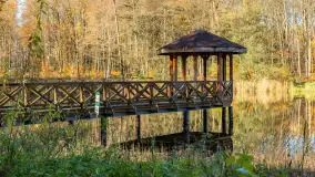 Spacer po Lesie Miejskim w Giżycku, listopad 2025 r. - zdjęcie 6