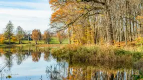 Spacer po Lesie Miejskim w Giżycku, listopad 2025 r. - zdjęcie 24