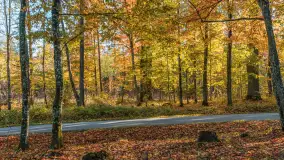 Jesień w Rezerwacie Przyrody Sztynort, październik 2025 r. - zdjęcie 18