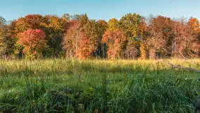 Jesień w Rezerwacie Przyrody Sztynort, październik 2025 r. - zdjęcie 47