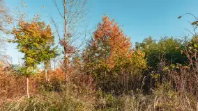 Jesień w Rezerwacie Przyrody Sztynort, październik 2025 r. - zdjęcie 31