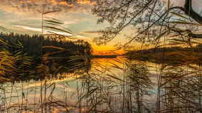 Zachód słońca nad jeziorem Gołdopiwo, listopad 2025 r. - zdjęcie 3