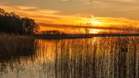 Zachód słońca nad jeziorem Gołdopiwo, listopad 2025 r. - zdjęcie 23