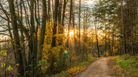 Końcówka mazurskiej, złotej jesieni, listopad 2025 r. - zdjęcie 1