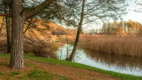 Końcówka mazurskiej, złotej jesieni, listopad 2025 r. - zdjęcie 3