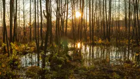 Końcówka mazurskiej, złotej jesieni, listopad 2025 r. - zdjęcie 21