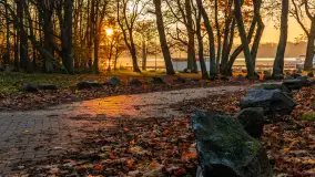 Zachód słońca, końcówka kolorów jesieni w Sztynorcie, listopad 2025 r. - zdjęcie 19