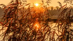 Zachód słońca, końcówka kolorów jesieni w Sztynorcie, listopad 2025 r. - zdjęcie 6