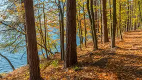 Jesień nad jeziorem Nidzkim, port i ośrodek Wodnik, Ruciane-Nida, październik 2025 r. - zdjęcie 11