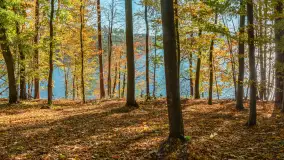 Jesień nad jeziorem Nidzkim, port i ośrodek Wodnik, Ruciane-Nida, październik 2025 r. - zdjęcie 3