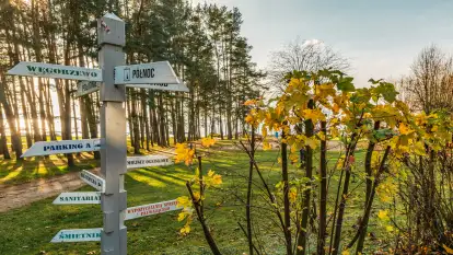 Końcówka jesieni w Pięknym Brzegu, nad jeziorem Święcajty, listopad 2025 r.