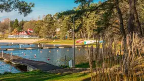 Końcówka jesieni w Pięknym Brzegu, nad jeziorem Święcajty, listopad 2025 r. - zdjęcie 3