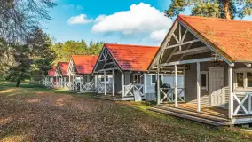 Końcówka jesieni w Pięknym Brzegu, nad jeziorem Święcajty, listopad 2025 r. - zdjęcie 14