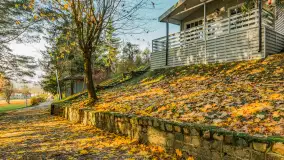 Końcówka jesieni w Pięknym Brzegu, nad jeziorem Święcajty, listopad 2025 r. - zdjęcie 17