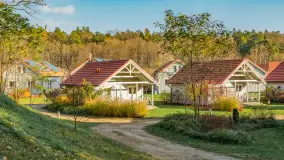 Końcówka jesieni w Pięknym Brzegu, nad jeziorem Święcajty, listopad 2025 r. - zdjęcie 24