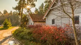 Końcówka jesieni w Pięknym Brzegu, nad jeziorem Święcajty, listopad 2025 r. - zdjęcie 26