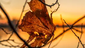 Zachód słońca nad jeziorem Niegocin, listopad 2025 r. - zdjęcie 6