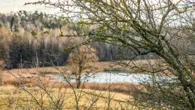 Zwalony Most w Kruklankach, listopad 2025 r. - zdjęcie 23