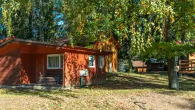 Łabędzi Ostrów i jezioro Kisajno w jesiennym wydaniu - zdjęcie 12